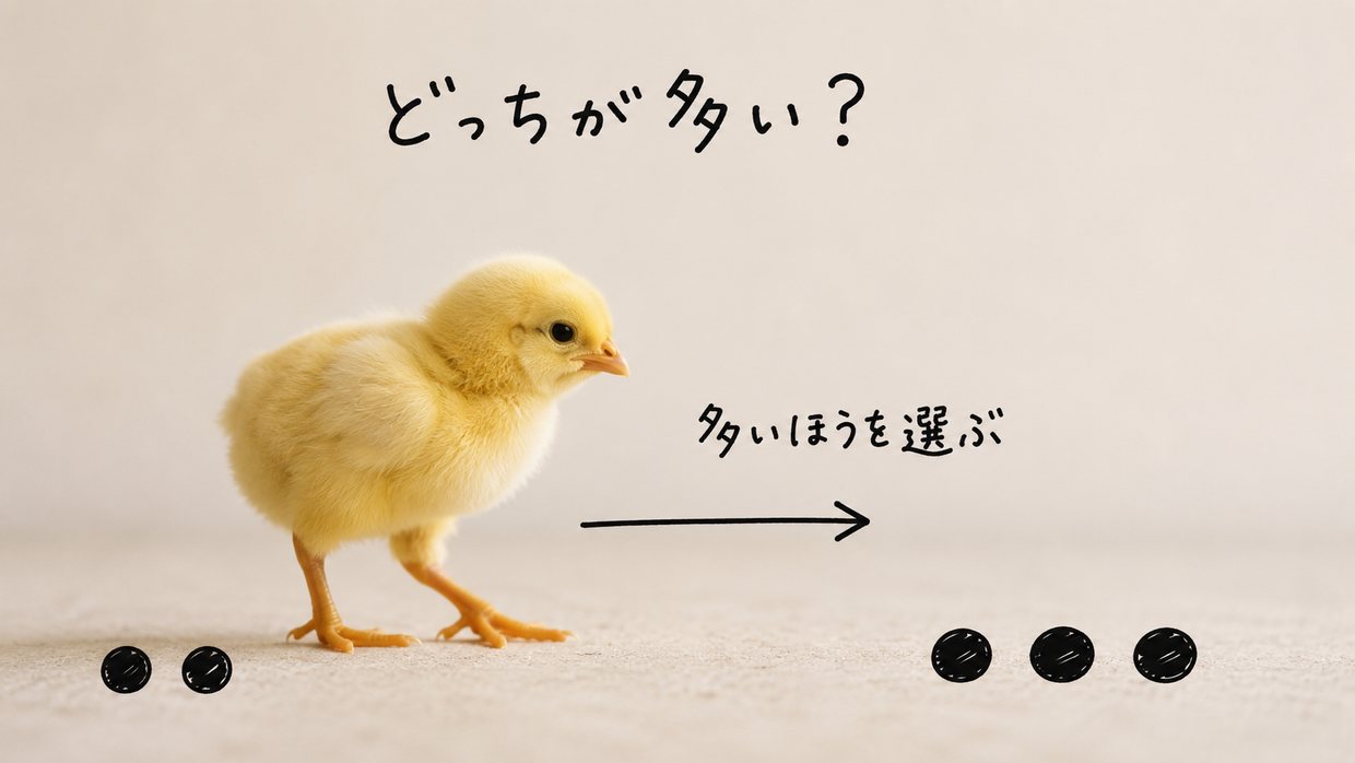 本物のひなの写真に手書きの注釈を重ねた図。左に丸2個・右に丸3個、ひなは数の多い右を向く。手書きの文字で「どっちが多い?」「多いほうを選ぶ」