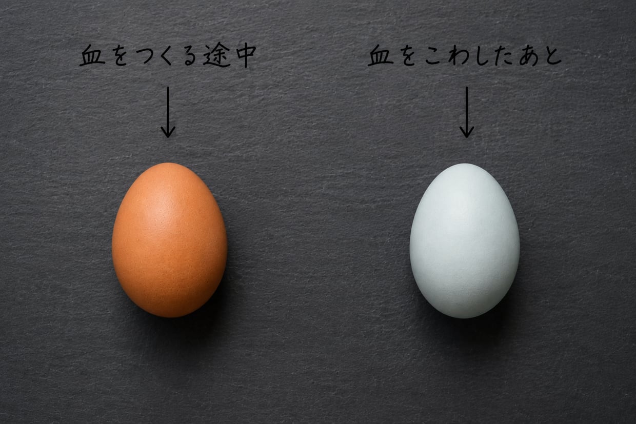 左に茶色い卵、右に青い卵。茶卵から手描きで「血をつくる途中」、青卵から「血をこわしたあと」と注釈