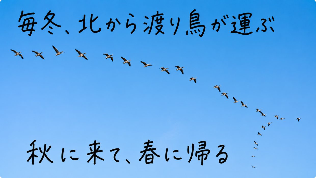 空を編隊で飛ぶ渡り鳥の群れの実写写真に、手書きの文字で「毎冬、北から渡り鳥が運ぶ」「秋に来て、春に帰る」と書かれている。